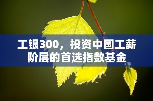 工银300，投资中国工薪阶层的首选指数基金