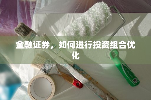 金融证券，如何进行投资组合优化