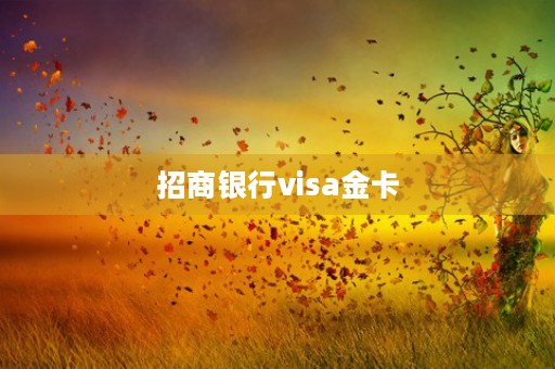 招商银行visa金卡