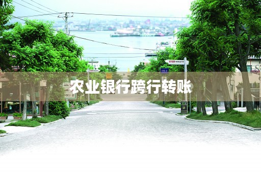 农业银行跨行转账