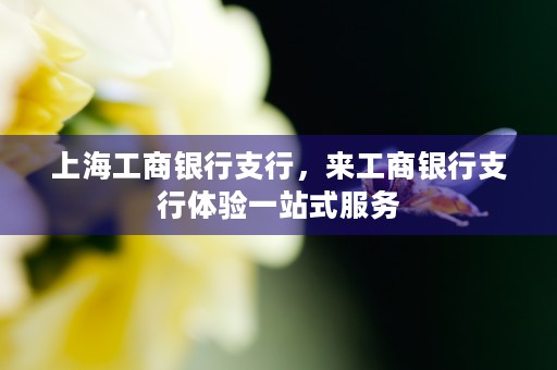 上海工商银行支行，来工商银行支行体验一站式服务