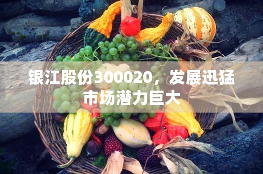 银江股份300020，发展迅猛市场潜力巨大