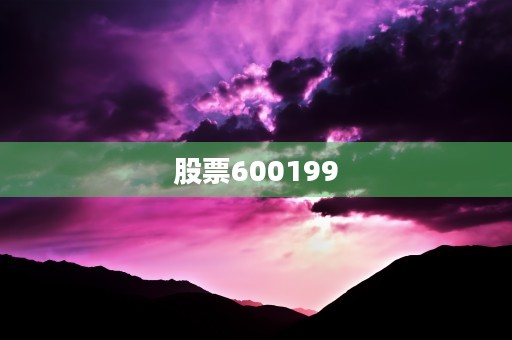 股票600199