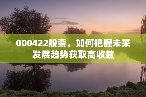 000422股票，如何把握未来发展趋势获取高收益