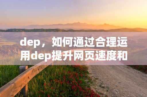 dep，如何通过合理运用dep提升网页速度和用户体验