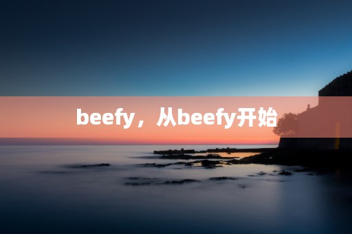 beefy，从beefy开始