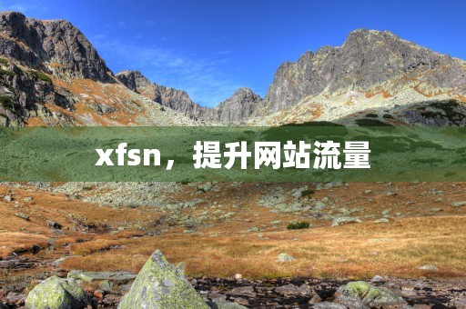 xfsn，提升网站流量