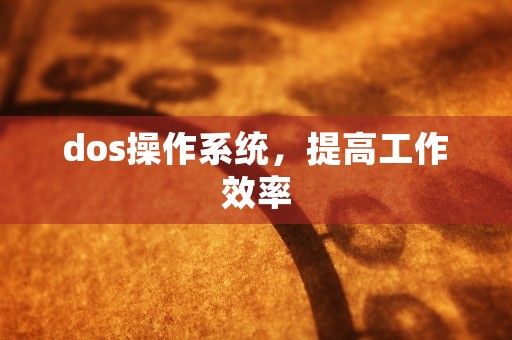 dos操作系统，提高工作效率