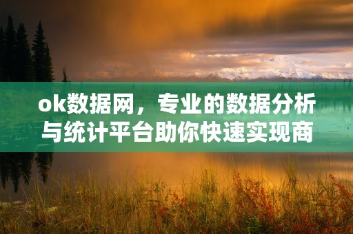 ok数据网，专业的数据分析与统计平台助你快速实现商业成功