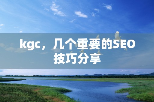 kgc，几个重要的SEO技巧分享