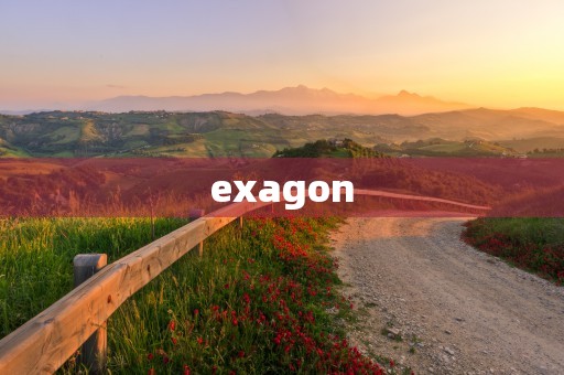 exagon