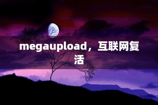 megaupload，互联网复活