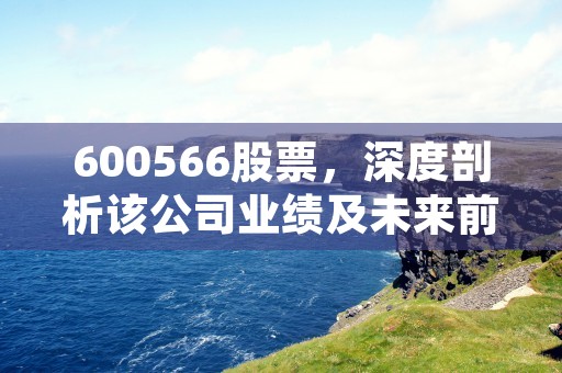 600566股票，深度剖析该公司业绩及未来前景