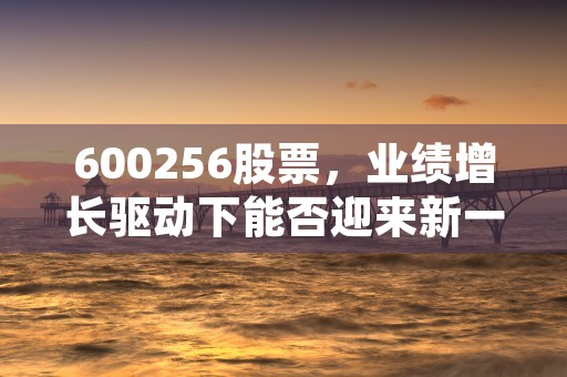 600256股票，业绩增长驱动下能否迎来新一轮上涨机会