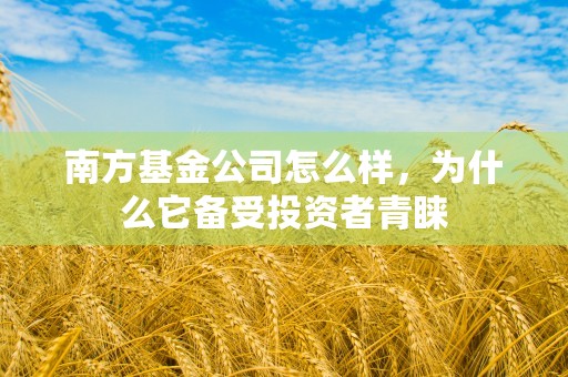 南方基金公司怎么样，为什么它备受投资者青睐