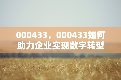 000433，000433如何助力企业实现数字转型