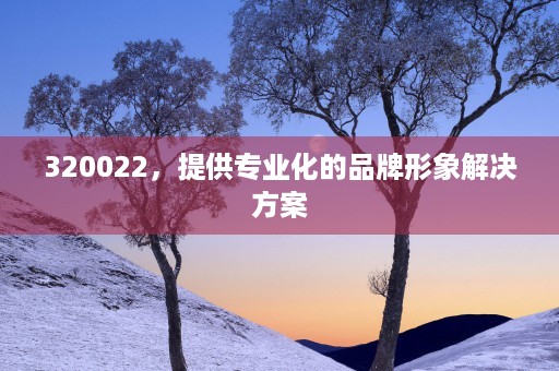 320022，提供专业化的品牌形象解决方案