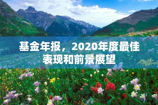 基金年报，2020年度最佳表现和前景展望