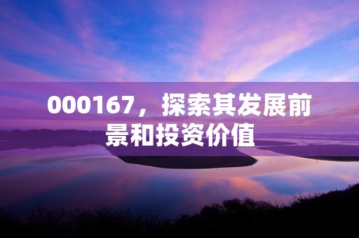 000167，探索其发展前景和投资价值