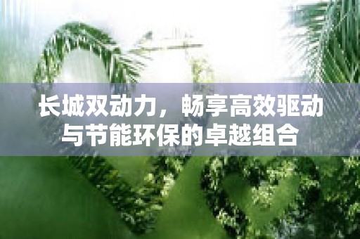 长城双动力，畅享高效驱动与节能环保的卓越组合