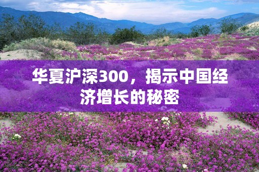 华夏沪深300，揭示中国经济增长的秘密