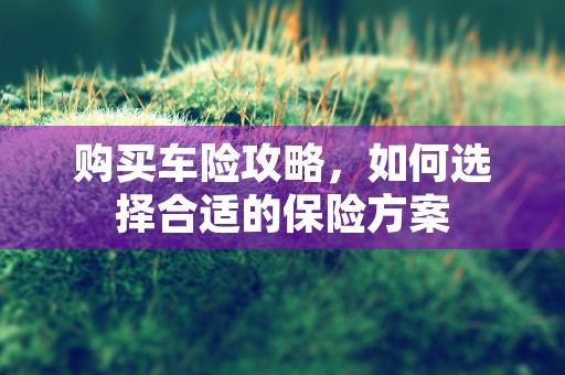 购买车险攻略，如何选择合适的保险方案