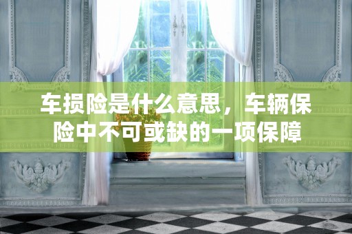 车损险是什么意思，车辆保险中不可或缺的一项保障