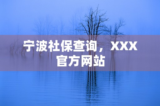 宁波社保查询，XXX官方网站