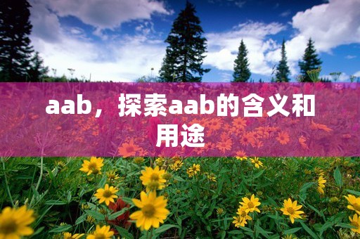 aab，探索aab的含义和用途