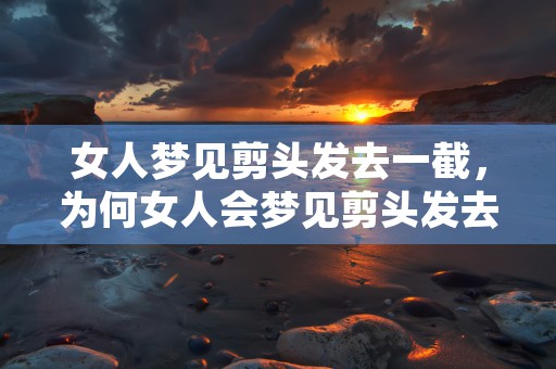 白羊座多久不联系就代表放弃了，探秘星座沟通与关系断裂之间的界限