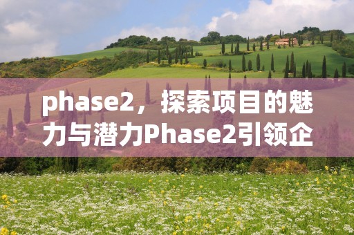 phase2，探索项目的魅力与潜力Phase2引领企业转型升级