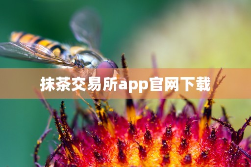 抹茶交易所app官网下载