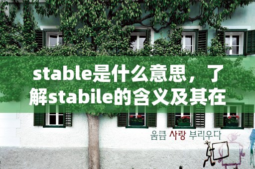 stable是什么意思，了解stabile的含义及其在不同领域的应用