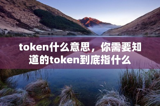 token什么意思，你需要知道的token到底指什么