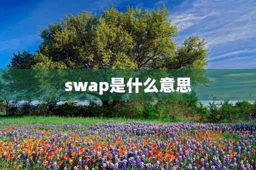 swap是什么意思