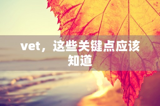 vet，这些关键点应该知道