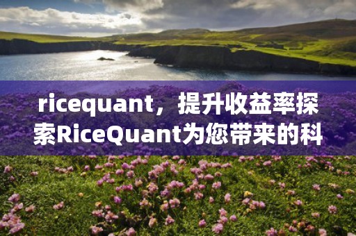 ricequant，提升收益率探索RiceQuant为您带来的科技金融革命