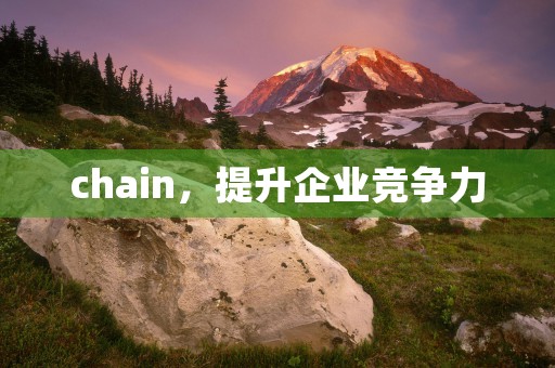 chain，提升企业竞争力