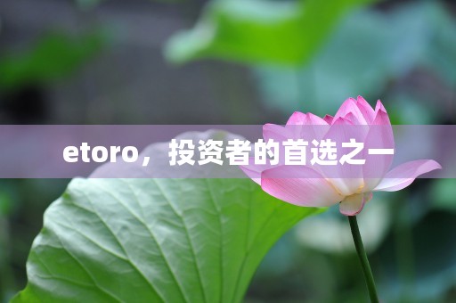 etoro，投资者的首选之一