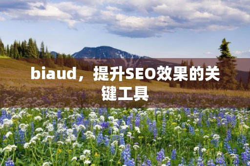 biaud，提升SEO效果的关键工具