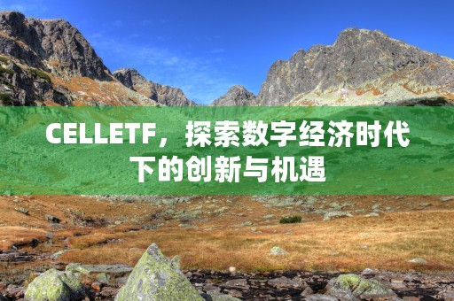 CELLETF，探索数字经济时代下的创新与机遇