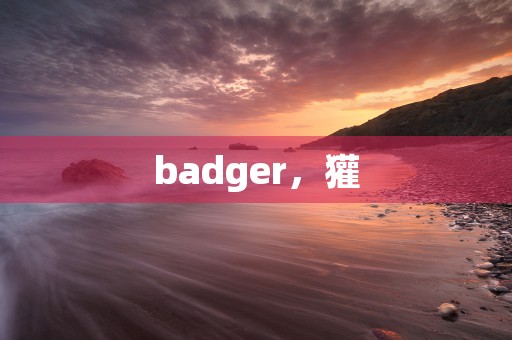 badger，獾