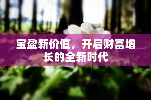 宝盈新价值，开启财富增长的全新时代