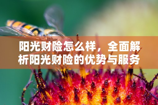 阳光财险怎么样，全面解析阳光财险的优势与服务