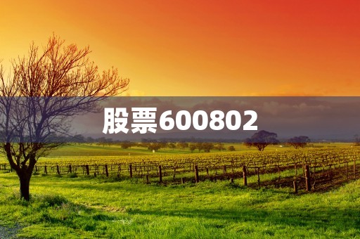 股票600802