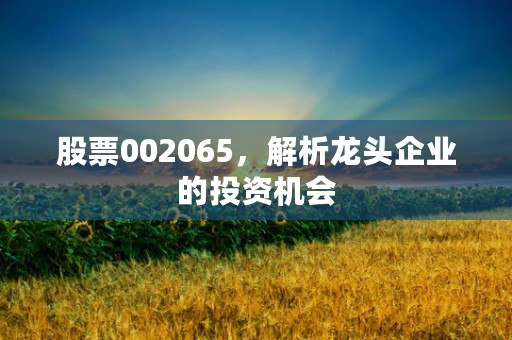 股票002065，解析龙头企业的投资机会