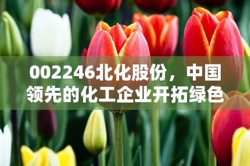 002246北化股份，中国领先的化工企业开拓绿色发展新模式