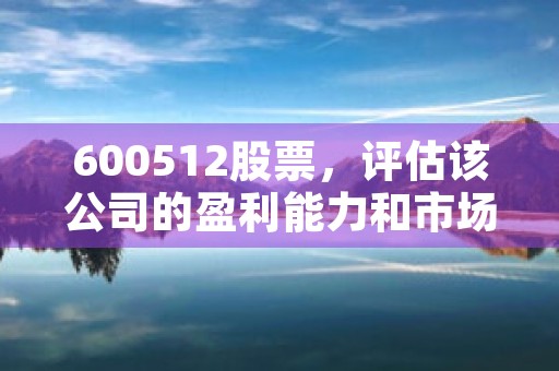 600512股票，评估该公司的盈利能力和市场表现