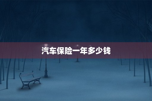 汽车保险一年多少钱