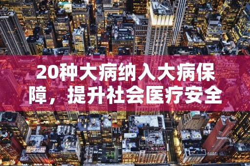 20种大病纳入大病保障，提升社会医疗安全水平